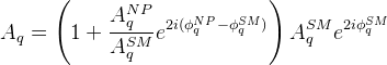 A_q = \left( 1 + \frac{A_{q}^{NP}}{A_{q}^{SM}} e^{2 i (\phi^{NP}_{q}-\phi^{SM}_{q})} \right) A^{SM}_{q} e^{2 i \phi^{SM}_{q}}